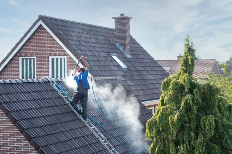 Increase Your Roof Cleaning Business with an AI Driven, Targeted Website