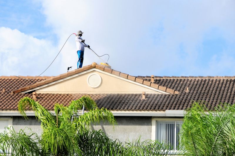 Roof Cleaning